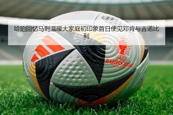 哈珀回忆马刺温暖大家庭初印象首日便见邓肯与吉诺比利（kaiyun）